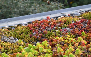 the cost of Wellroyd green roof installation