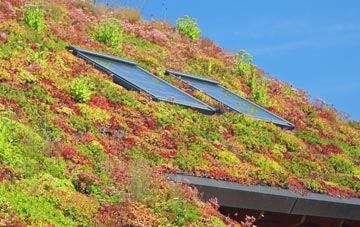 Wellroyd living roof systems